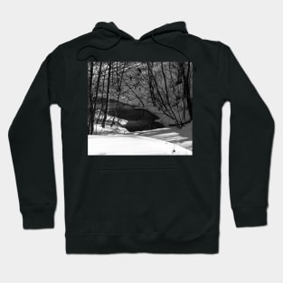 Winter scenery in black and white Hoodie